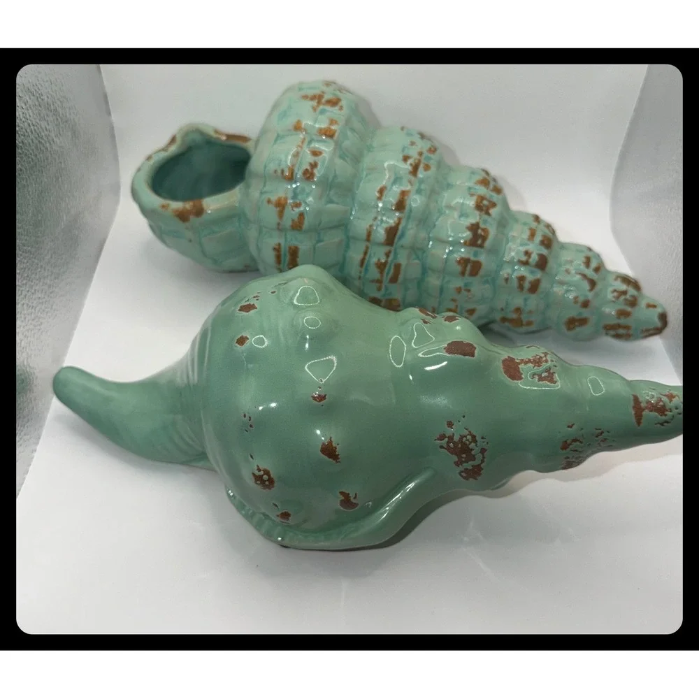 Unbranded conch shell